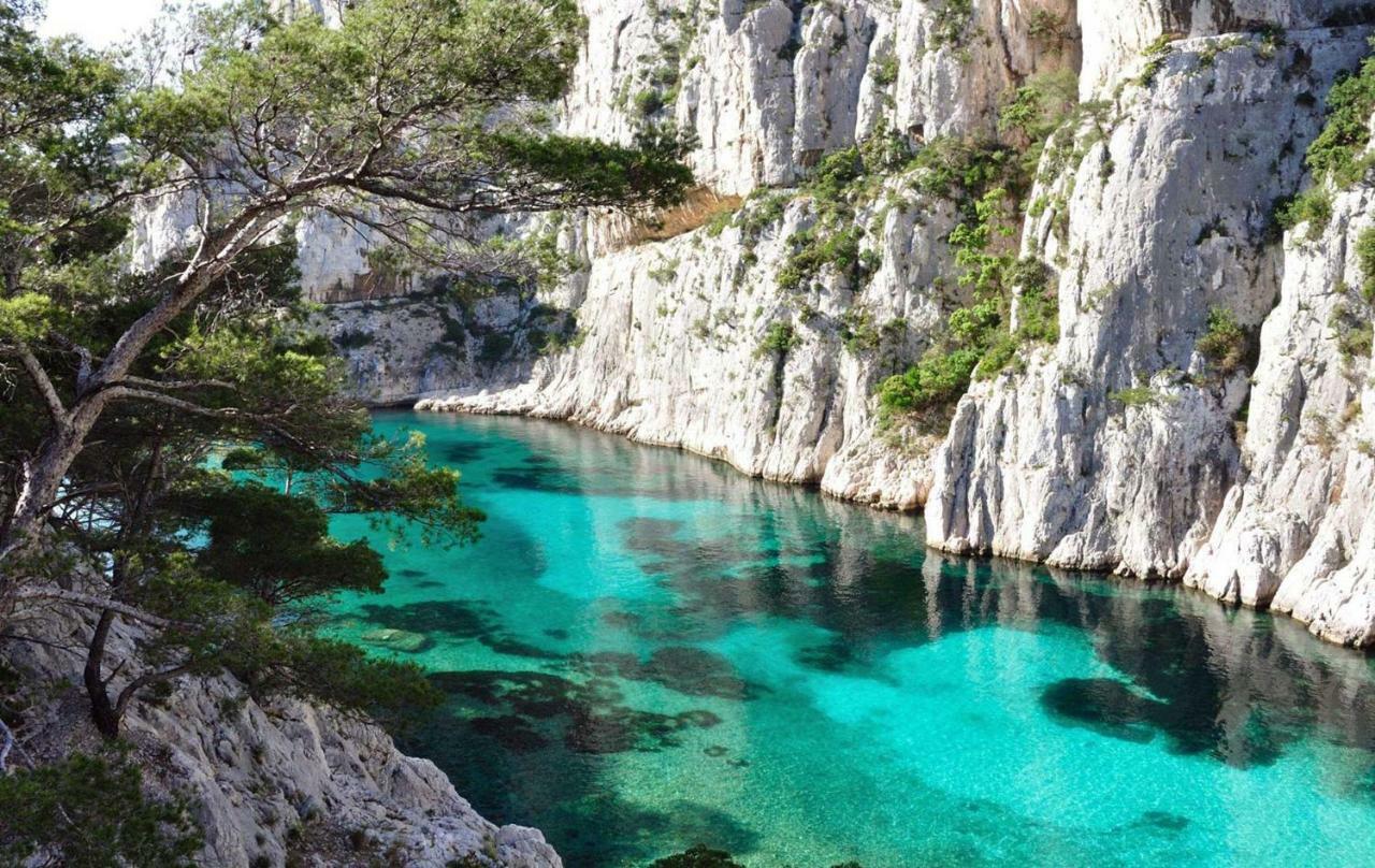 Le Patio Des Mimosas Par Dodo-A-Cassis Bed & Breakfast Dış mekan fotoğraf